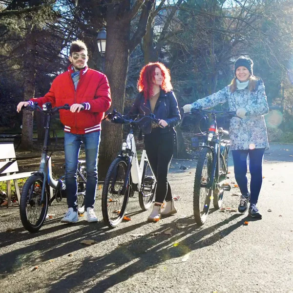 Urbanbiker Sidney | City E-Bike | 100KM Reichweite